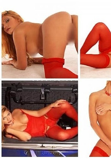 ADNA kury - Trans escort Le Mans