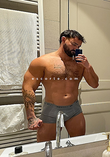 Dodo - Males escort Bayonne