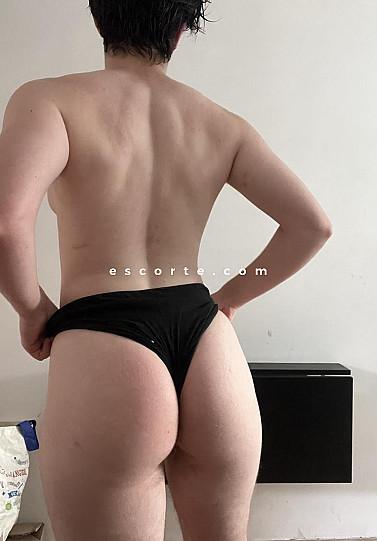 Sasha - Trans escort Bordeaux