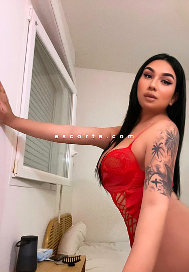 Kimberlym - Transsexuels escort Dijon