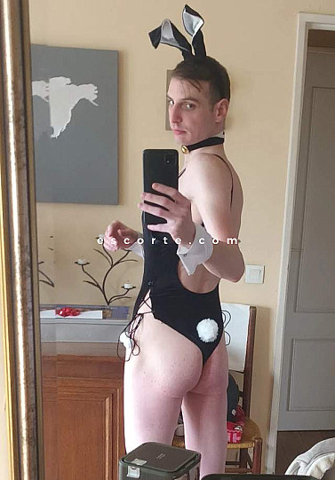 BetaBoi - Males escort Paris