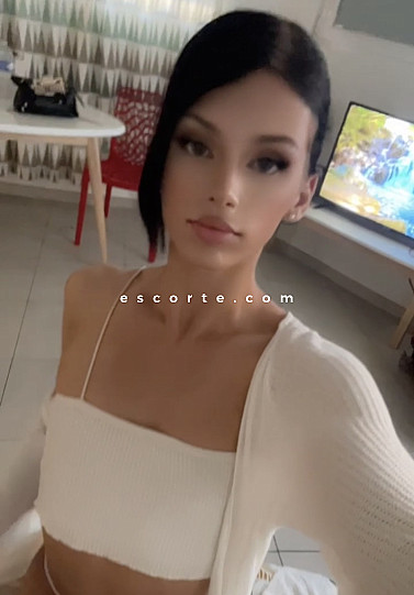 Ines - Trans escort Le Havre