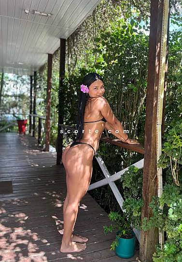 Amanda - Girl escort Pau