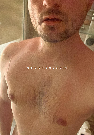 gemeaux13 - Hommes escort Marseille