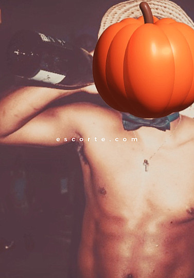 Niik - Males escort Roissy (CDG airport)