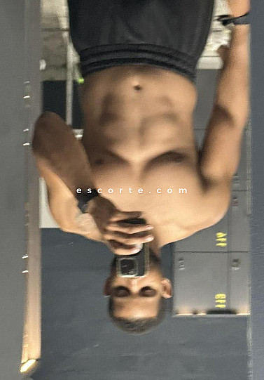 Wilk20cm - Hommes escort Paris