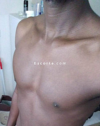 usam - Hommes escort Angers