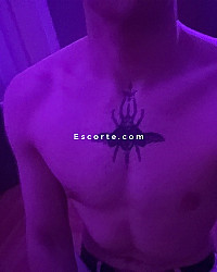 Blondiboy - Males escort Nantes