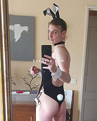 BetaBoi - Hommes escort Paris