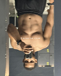 Wilk20cm - Hommes escort Paris