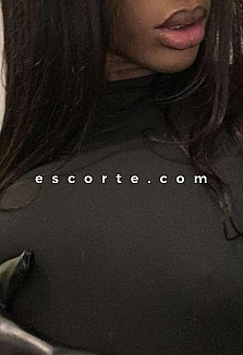 Escort girls in Dunkerque