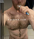 ours31 - Hommes escort Toulouse