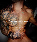 ToyBoy - Males escort Cannes