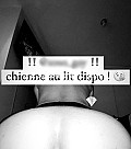 Sosogay - Males escort Dijon