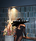 Laure07 - Girl escort Toulouse