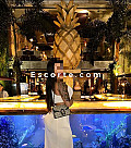 Belle femme Sodomi - Girl escort Torcy