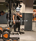 Fucking panda - Males escort Paris