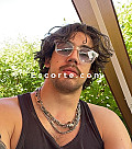 Malko - Males escort Nice