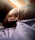 David Plaisir du sud - Hommes escort Bayonne