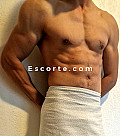 Robert - Males escort Tarbes