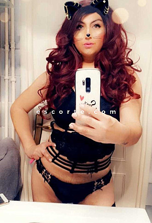 AlexaTrans - Transsexuels escort Saint-Nazaire