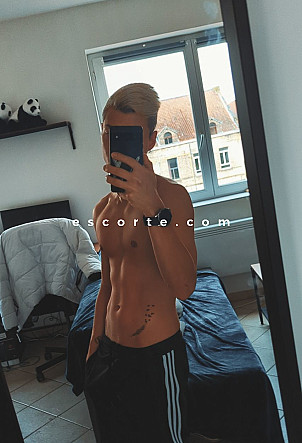 Tokino - Males escort Lille