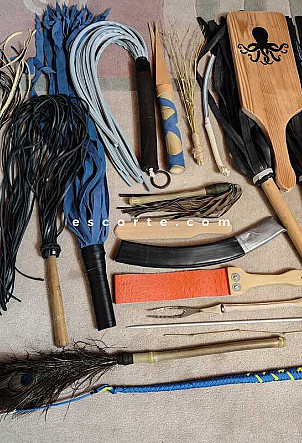 PoulpeBDSM - Hommes escort Rennes