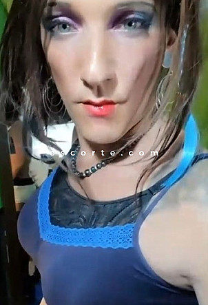 La Petite Tania - Transsexuels escort Lille