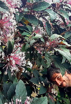 Damien - Hommes escort Montpellier