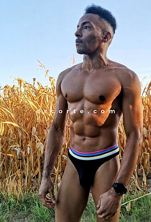 dave67 - Hommes escort Strasbourg