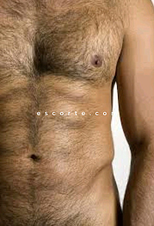 Gentleman - Males escort Bordeaux