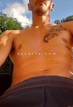 Timide25 - Hommes escort Montbéliard