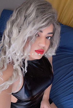 Trans Paolla - Transsexuels escort Le Mans