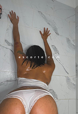 DameTinoush24 - Girl escort Tarbes
