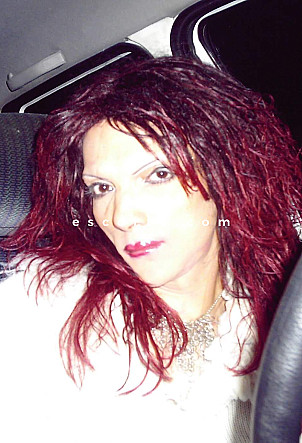 nolwen - Transsexuels escort Toulouse