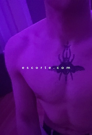 Blondiboy - Males escort Nantes