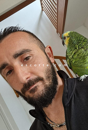 LUCIFER - Hommes escort Reims