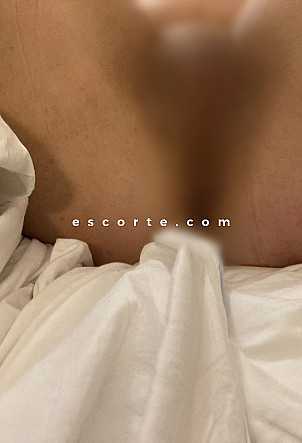 Bellebrunesexy31 - Girl escort Toulouse