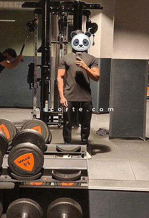 Fucking panda - Hommes escort Paris