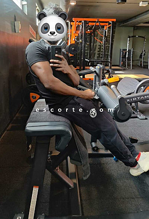 Fucking panda - Hommes escort Paris
