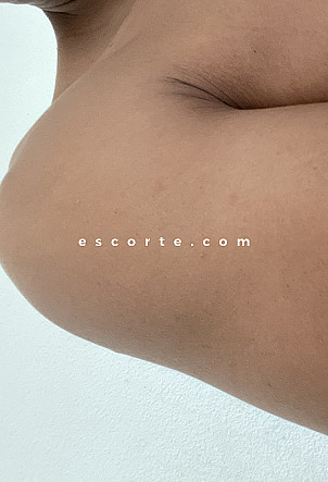Acctiff - Hommes escort Carcassonne