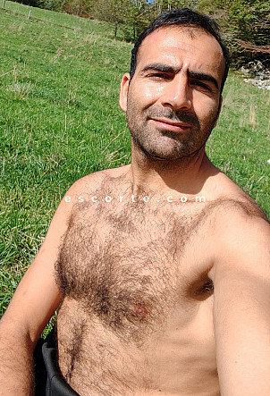 Djavid - Males escort Paris