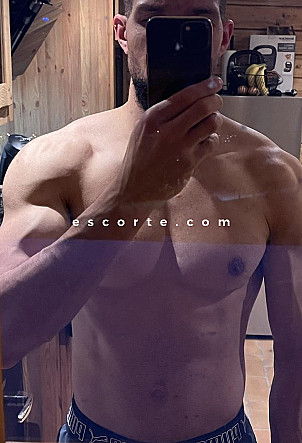 Wbhood - Hommes escort Montauban