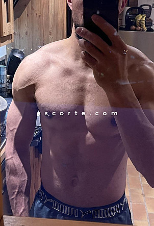 Wbhood - Hommes escort Montauban