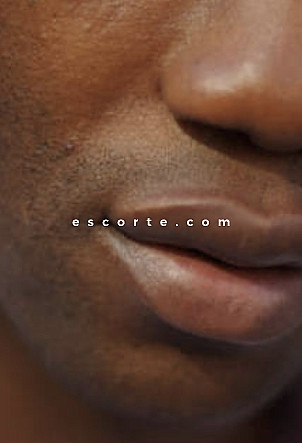 Pour vous mesdames - Hommes escort Montpellier