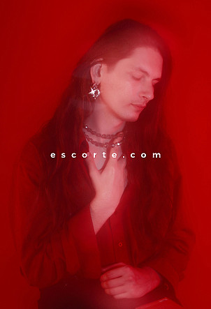 Anton - Males escort Rouen