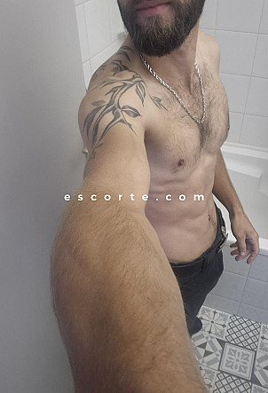 Thibs - Males escort Toulouse
