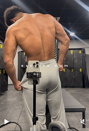 Showman - Hommes escort Lille