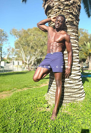 Lcowboy - Males escort Paris