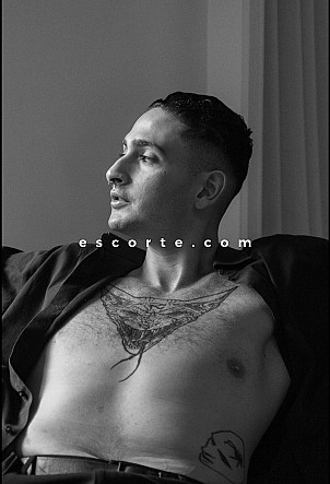 Apophys - Males escort Marseille